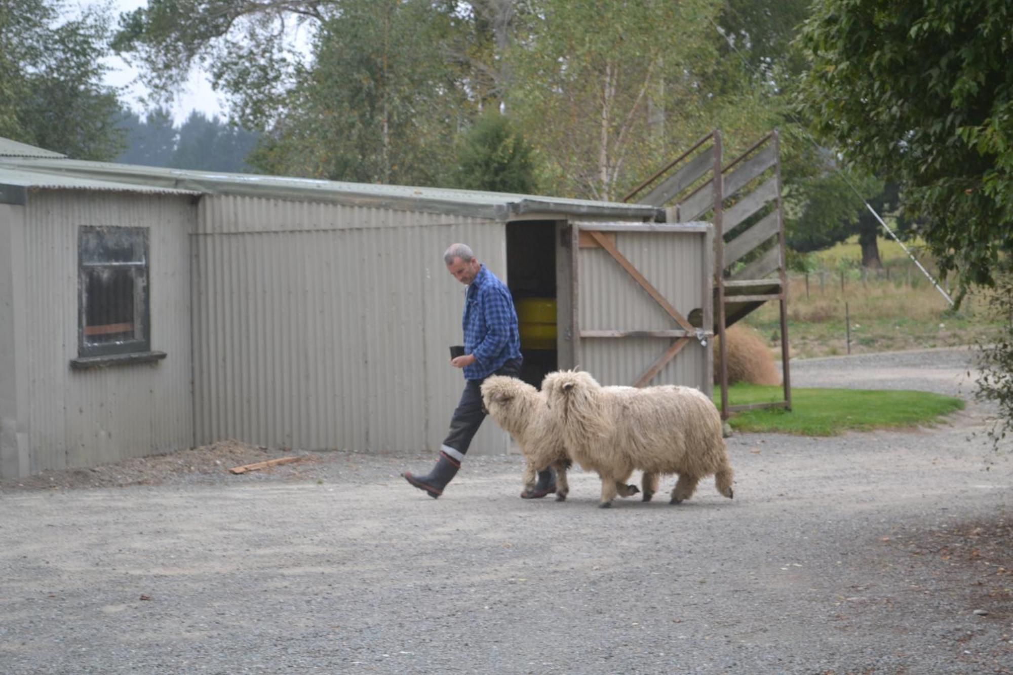Highlands On Homestead * Oamaru