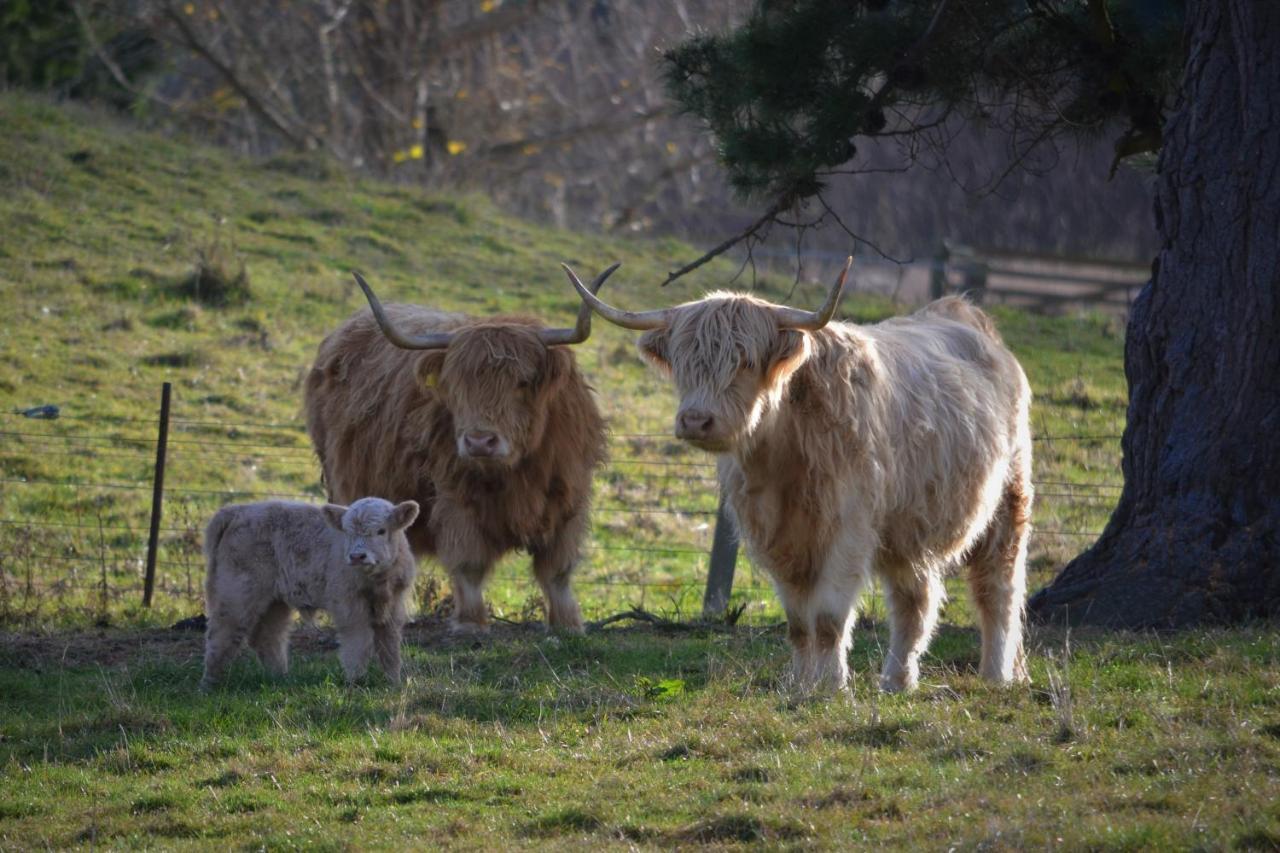 Highlands On Homestead Bauernhof Oamaru